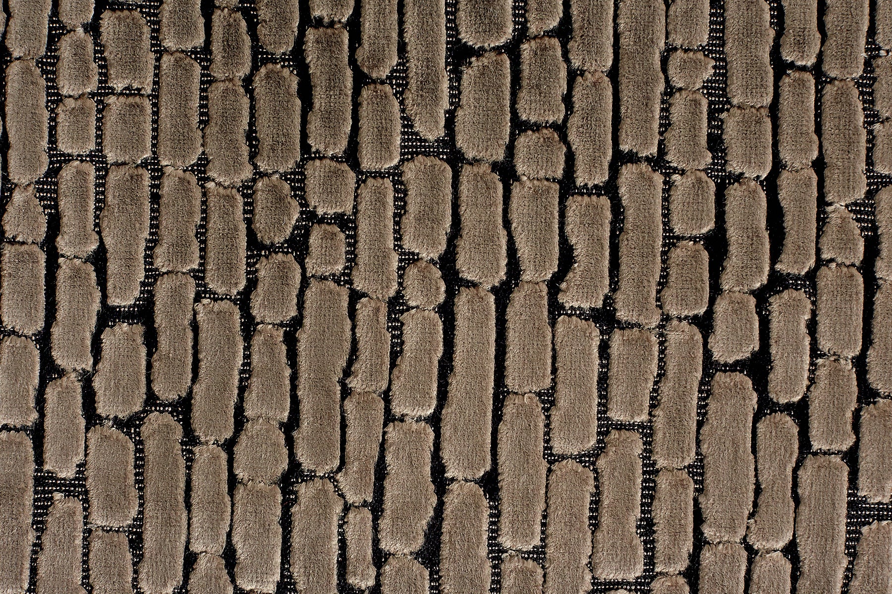 Monciel Home Mosaic